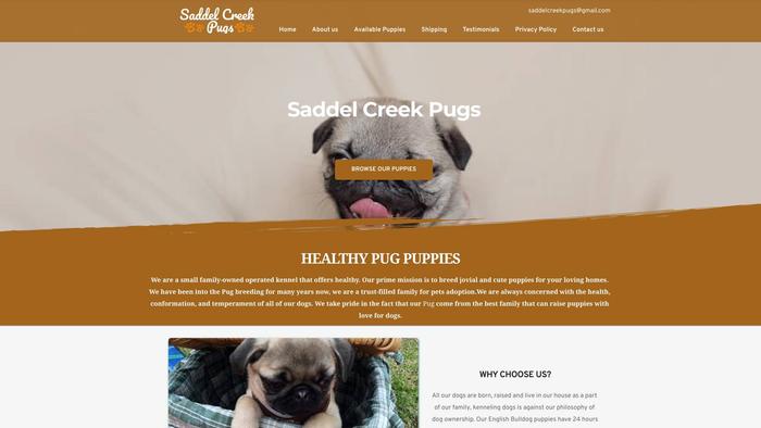 Saddelcreekpugs.com - Dachshund Puppy Scam Review