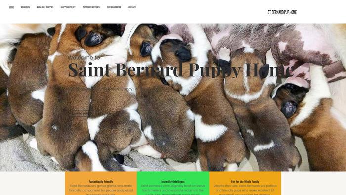 Saintbernardpuppyhome.com - Saint Bernard Puppy Scam Review