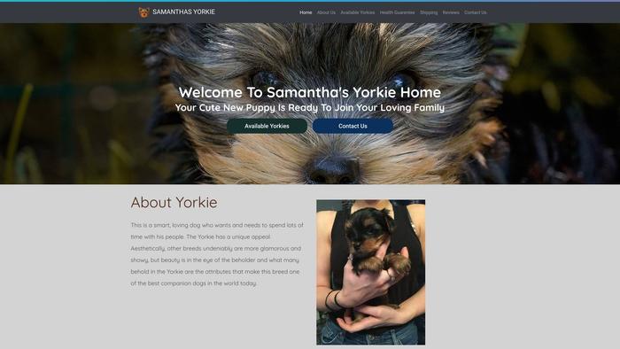 Samanthasyorkiehome.com - Yorkshire Terrier Puppy Scam Review