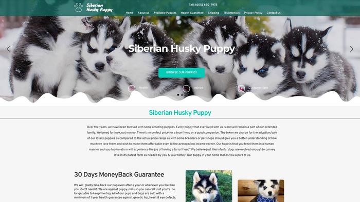 Siberianhuskypuppysell.com - Husky Puppy Scam Review