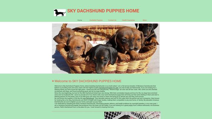 Skydachshundpuppieshome.com - Dachshund Puppy Scam Review