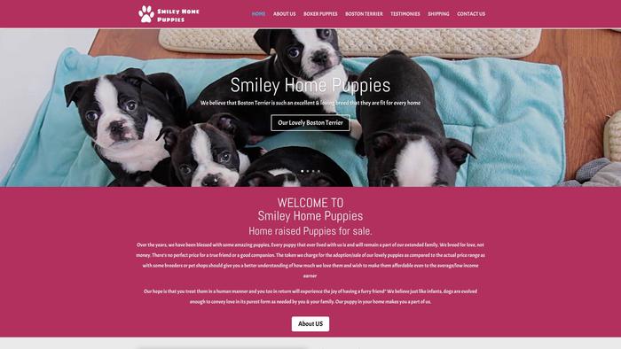 Smileyhomepuppies.com - Boston Terrier Puppy Scam Review