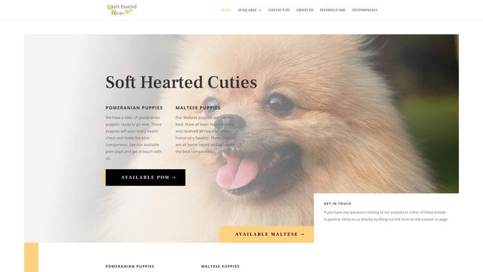 Softheartedcuties.com - Pomeranian Puppy Scam Review