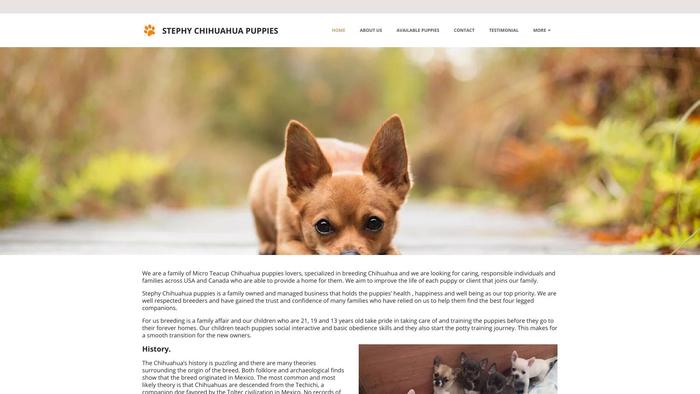 Stephychihuahuapups.com - Chihuahua Puppy Scam Review