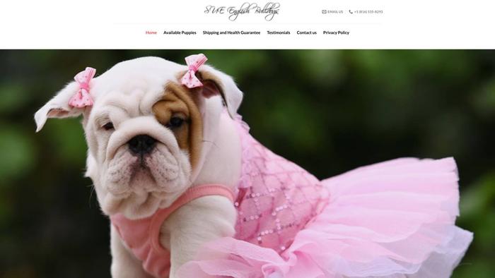 Sueenglishbulldogs.com - English Bulldog Puppy Scam Review