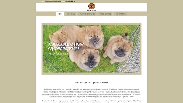 Sweetchowchowpuppies.com - Chowchow Puppy Scam Review