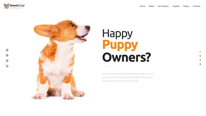 Sweetcorgi.com - Corgi Puppy Scam Review