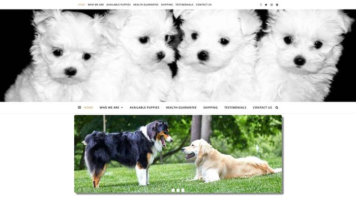 Sweetlinemaltesepuppy.com - Maltese Puppy Scam Review