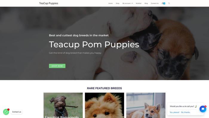 Teacuppompuppies.com - Yorkshire Terrier Puppy Scam Review