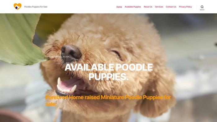 Teacuppoodle.store - Poodle Puppy Scam Review