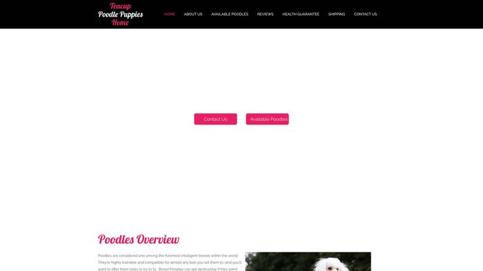 Teacuppoodlepuppieshome.com - Poodle Puppy Scam Review