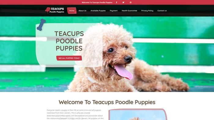 Teacupspoodlepuppies.com - Poodle Puppy Scam Review