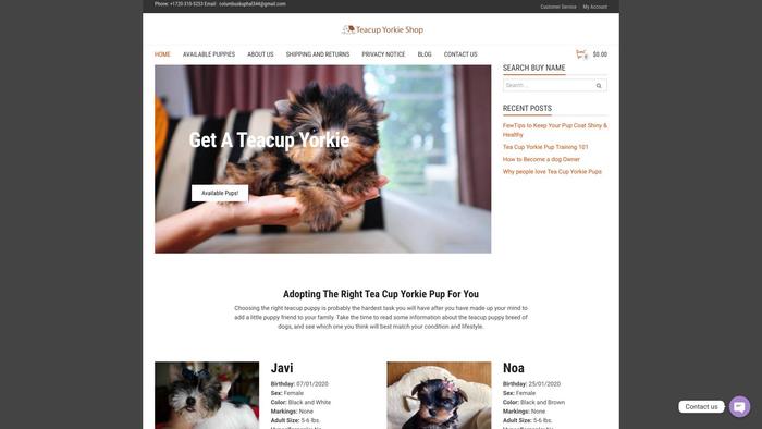 Teacupyorkieshop.com - Yorkshire Terrier Puppy Scam Review