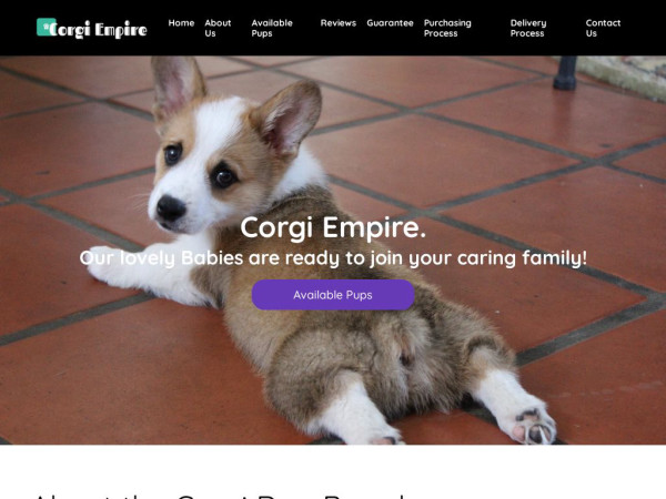 Terrific-corgiempire.com - Corgi Puppy Scam Review