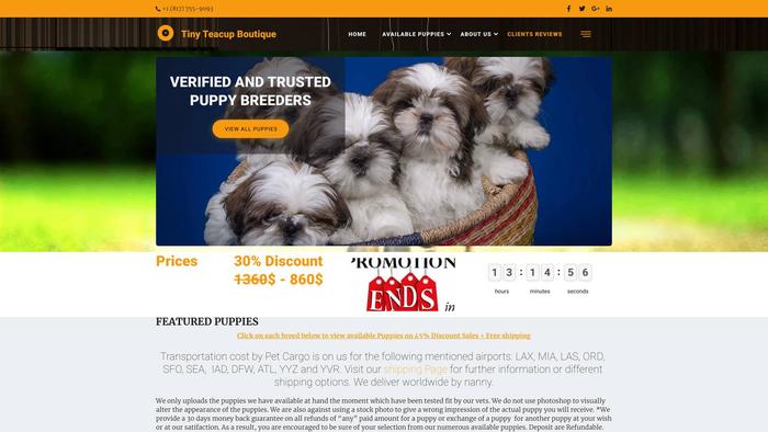 Tinyteacupboutique.com - Yorkshire Terrier Puppy Scam Review