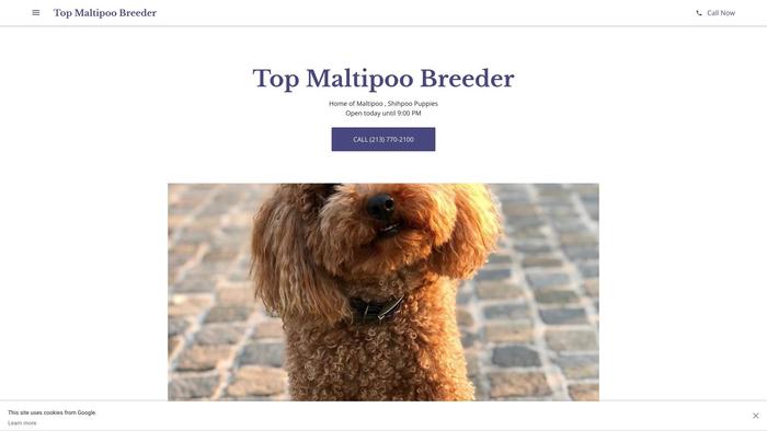 Topmaltipoobreeder.com - Maltipoo Puppy Scam Review