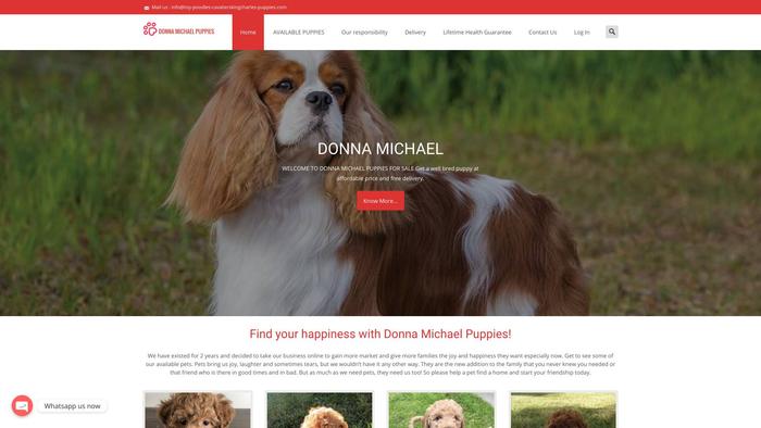 Toy-poodles-cavalierskingcharles-puppies.com - Cavalier King Charles Spaniel Puppy Scam Review