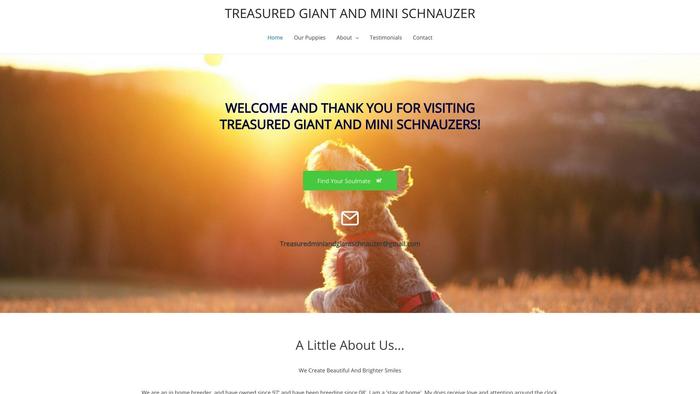 Treasuredminiandgiantschnauzerhome.com - Schnauzer Puppy Scam Review