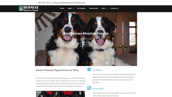 Umsbernesemountaindog.com - Bernese Mountain Dog Puppy Scam Review