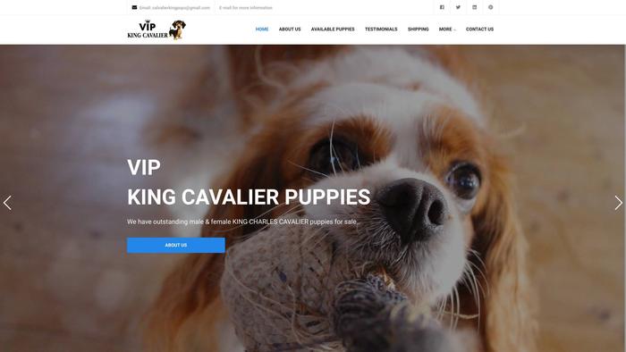 Vipkingcavaliers.com - Cavalier King Charles Spaniel Puppy Scam Review