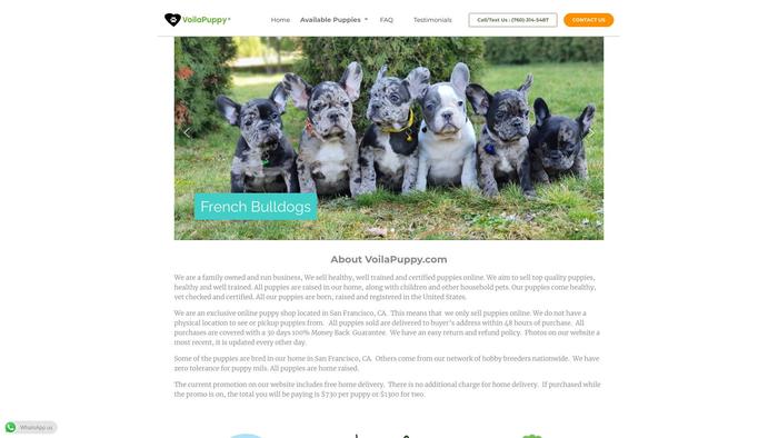 Voilapuppy.com - English Bulldog Puppy Scam Review