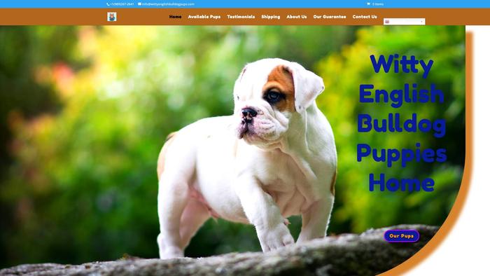 Wittyenglishbulldogpups.com - English Bulldog Puppy Scam Review