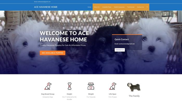 Acehavanesehome.com - Havanese Puppy Scam Review