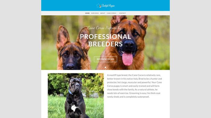 Activecanecorsopups.com - Cane Corso Puppy Scam Review