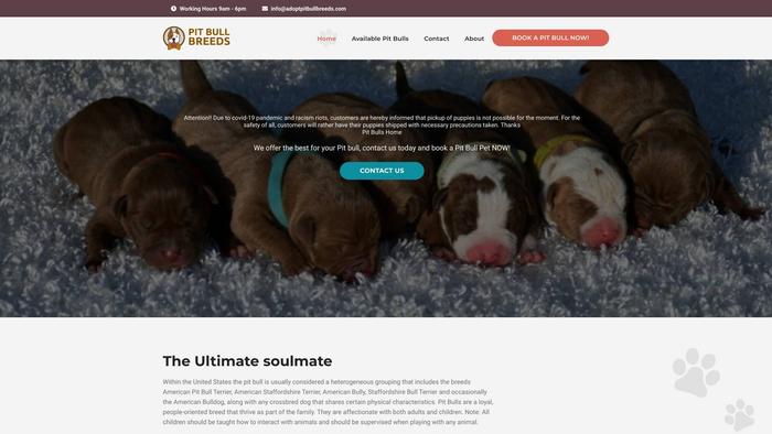 Adoptpitbullbreeds.com - Pit Bull Puppy Scam Review