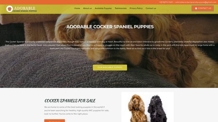 Adorablecockerspanielpuppies.com - Cockerspaniel Puppy Scam Review