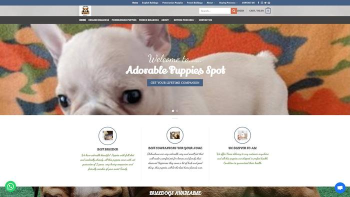 Adorablepuppiespot.com - English Bulldog Puppy Scam Review