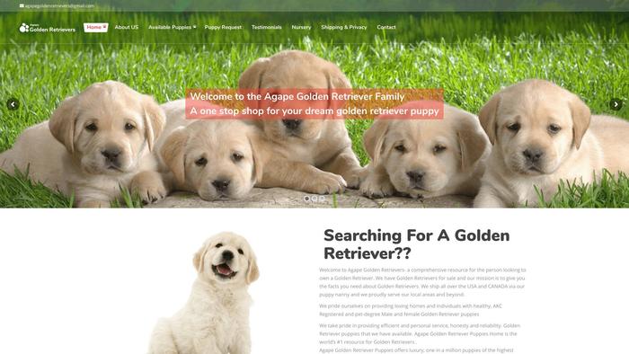 Agapegoldenretrievers.com - Golden Retriever Puppy Scam Review