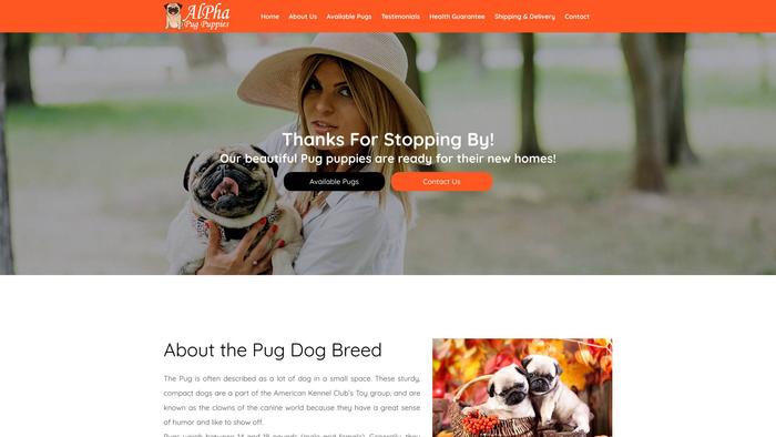 Alphapugpuppies.com - Pug Puppy Scam Review