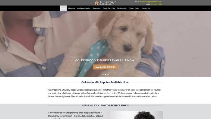 Amazinggoldendoodle.com - Golden Doodle Puppy Scam Review