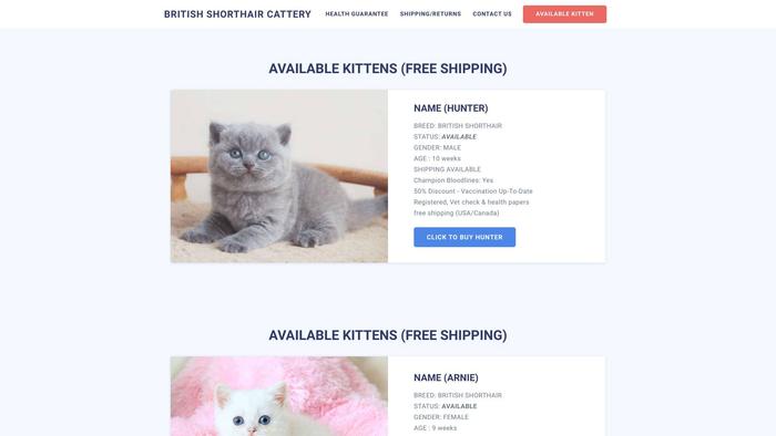 Amazingshorthaircattery.com - British Shorthair Puppy Scam Review