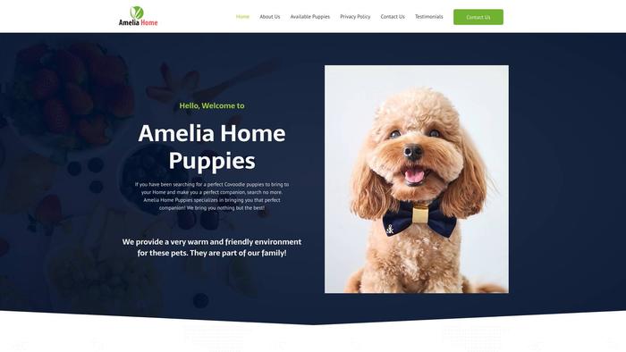 Ameliahomepups.com - Cavapoo Puppy Scam Review