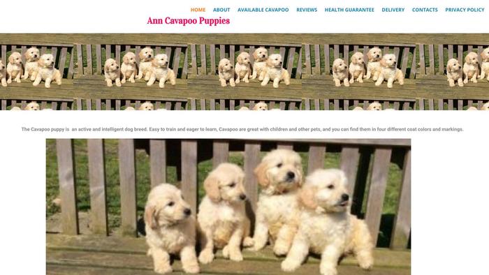 Annacavapoopups.us - Cavapoo Puppy Scam Review