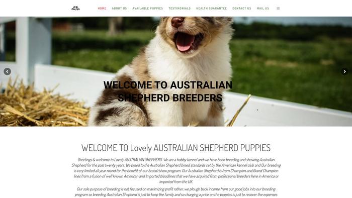 Aussiesgarden.com - Australian Shepherd Puppy Scam Review