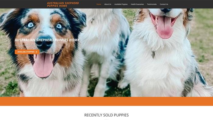 Australianshepherdpuppiesforsale.com - Germanshepherd Puppy Scam Review