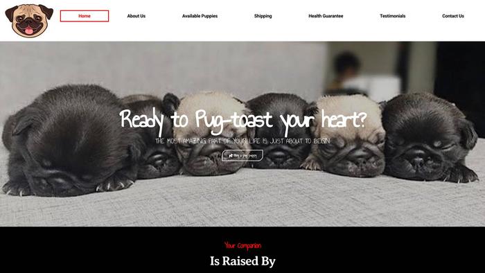 Awesomepugpuppies.com - Pug Puppy Scam Review