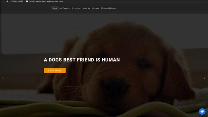 Awesomeretrieverpuppies.com - Golden Retriever Puppy Scam Review