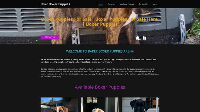 Bakerboxerpuppies.com - Boxer Puppy Scam Review