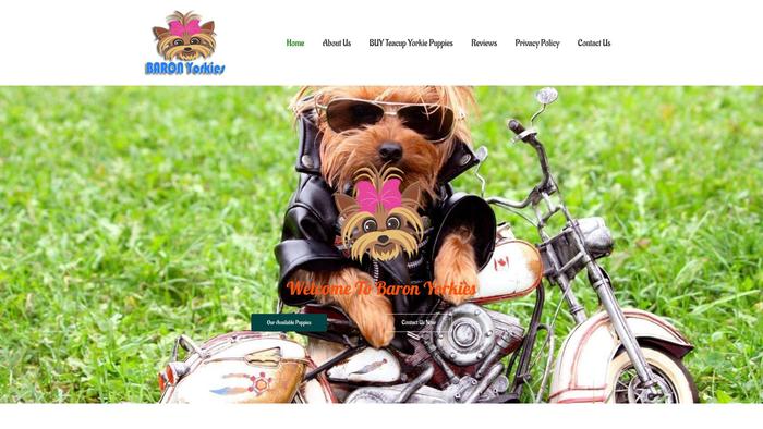 Baronyorkies.com - Yorkshire Terrier Puppy Scam Review