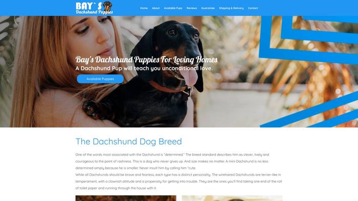 Baysdachshundpuppies.com - Dachshund Puppy Scam Review