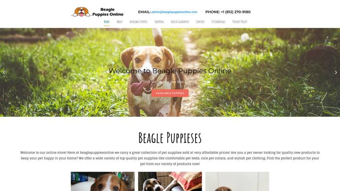 Beaglepuppiesonline.com - Beagle Puppy Scam Review