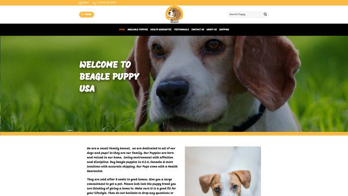 Beaglepuppyusa.com - Beagle Puppy Scam Review