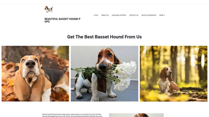 Beautifulbassethoundspup.com - Bassethound Puppy Scam Review