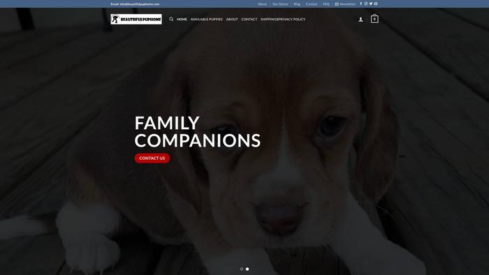 Beautifulpuphome.com - Golden Retriever Puppy Scam Review