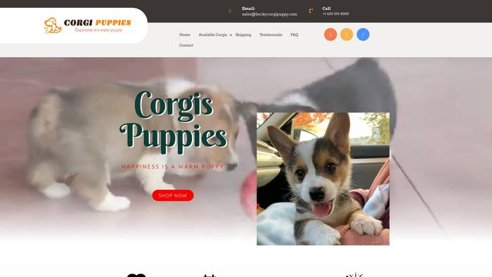 Beckycorgipuppy.com - Corgi Puppy Scam Review