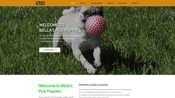 Bellaspugpuppies.com - Dachshund Puppy Scam Review